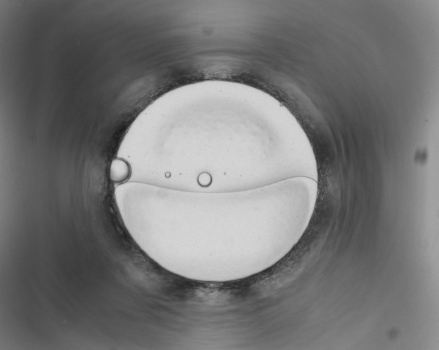 X0000116680311201001251305