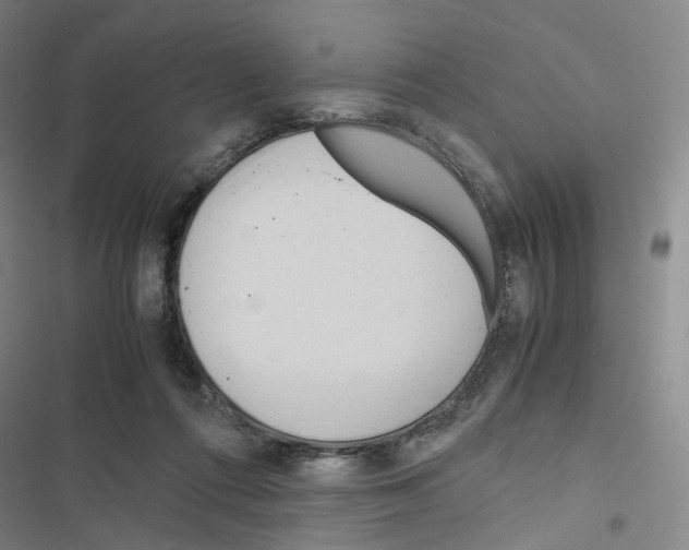 X0000116680312201001251305