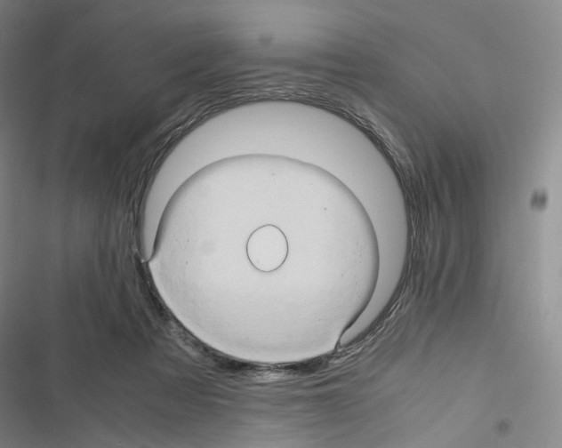 X0000116680313201001251305