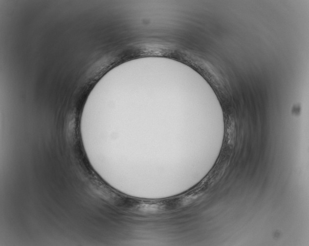 X0000116680314201001251305