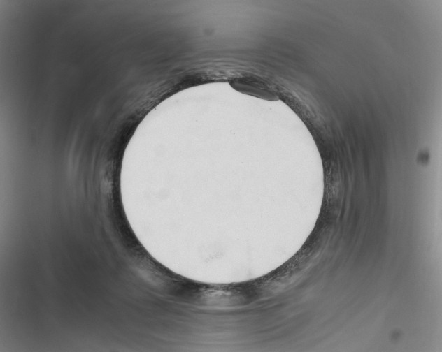 X0000116680315201001251305