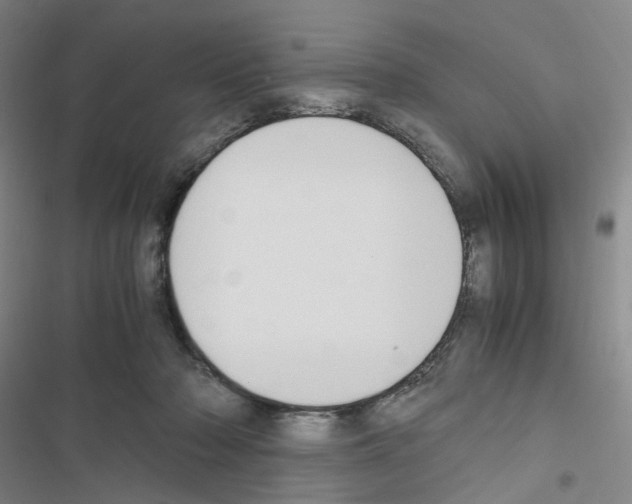 X0000116680318201001251305