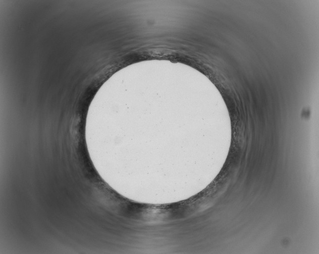 X0000116680319201001251305