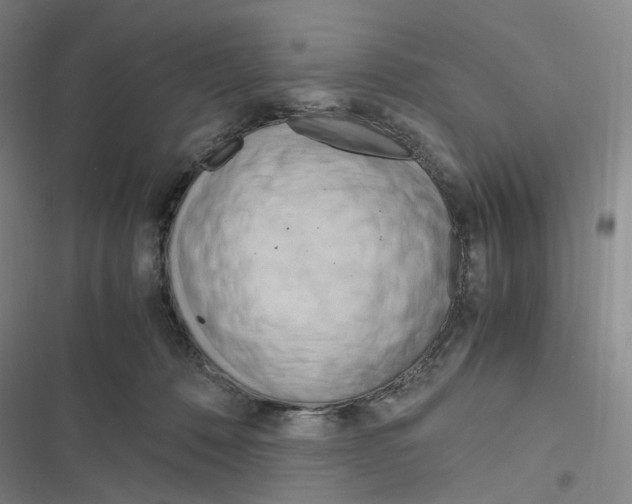 X0000116680320201001251305