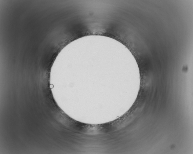 X0000116680321201001251305