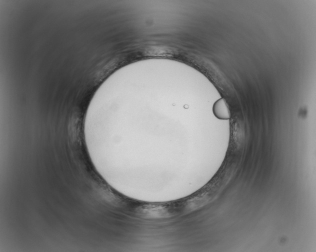 X0000116680322201001251305