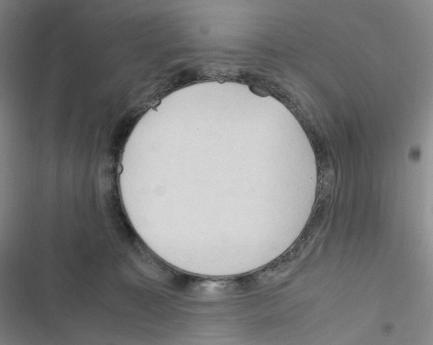 X0000116680323201001251305