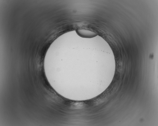 X0000116680324201001251305