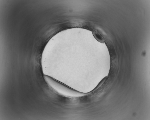 X0000116680325201001251305