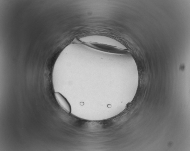 X0000116680327201001251305