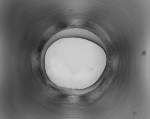 X0000116680328201001251305