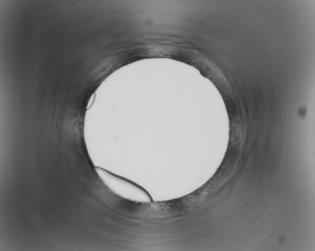 X0000116680329201001251305