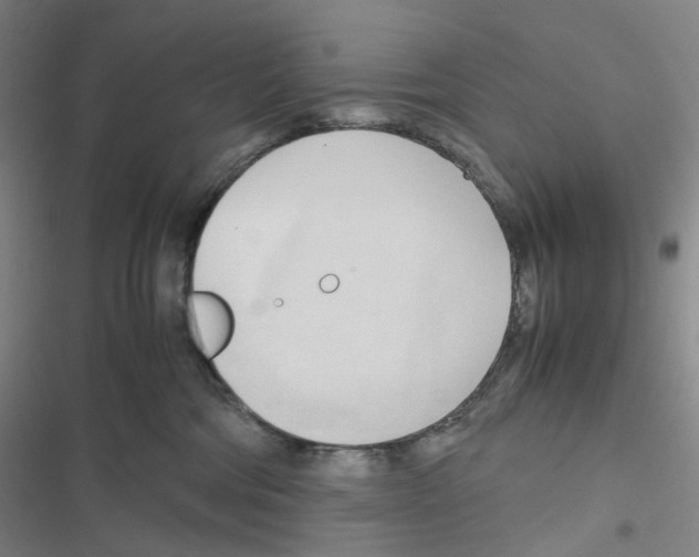 X0000116680330201001251305