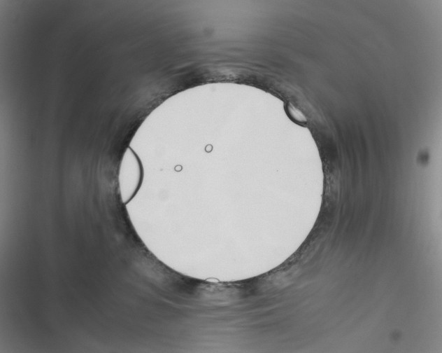 X0000116680331201001251305