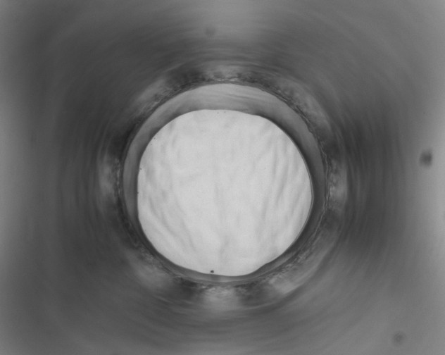 X0000116680332201001251305