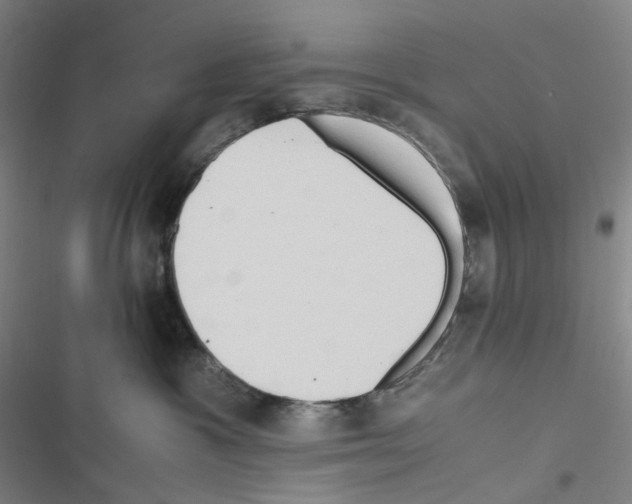 X0000116680333201001251305