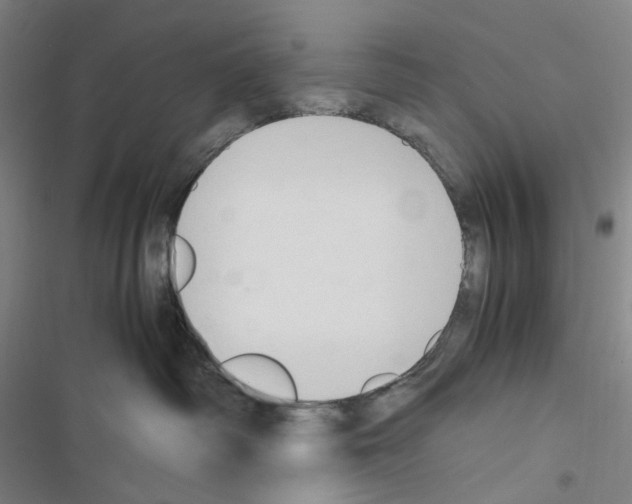 X0000116680334201001251305