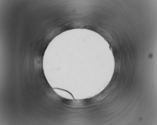 X0000116680335201001251305