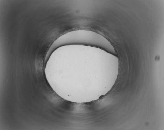 X0000116680336201001251305