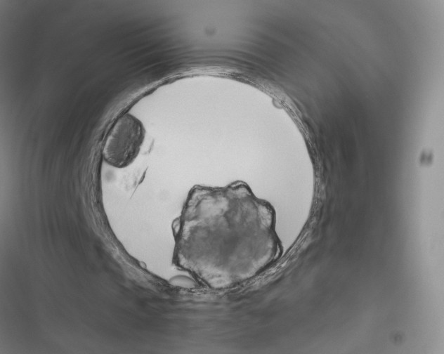 X0000116680337201001251304