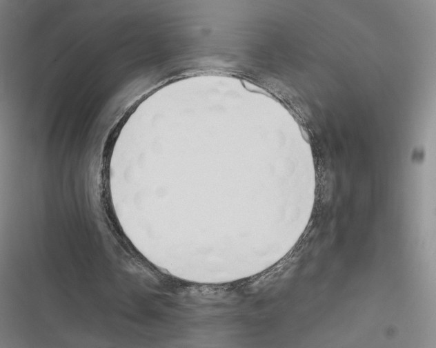 X0000116680338201001251304