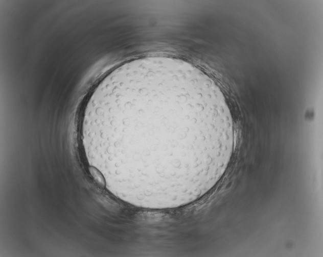 X0000116680339201001251304