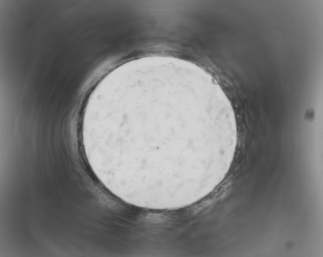 X0000116680341201001251304