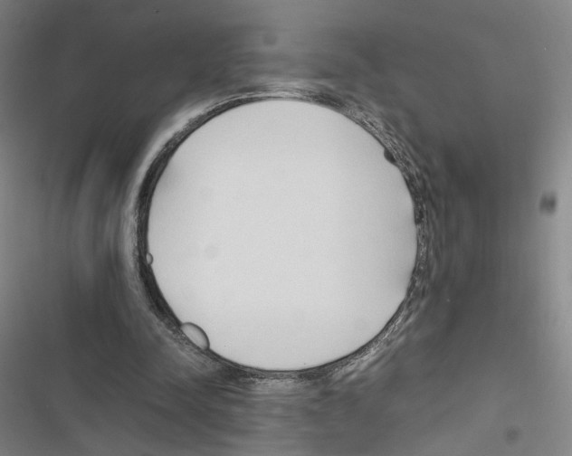 X0000116680342201001251304