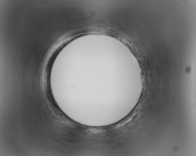 X0000116680343201001251304