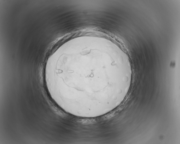 X0000116680345201001251305