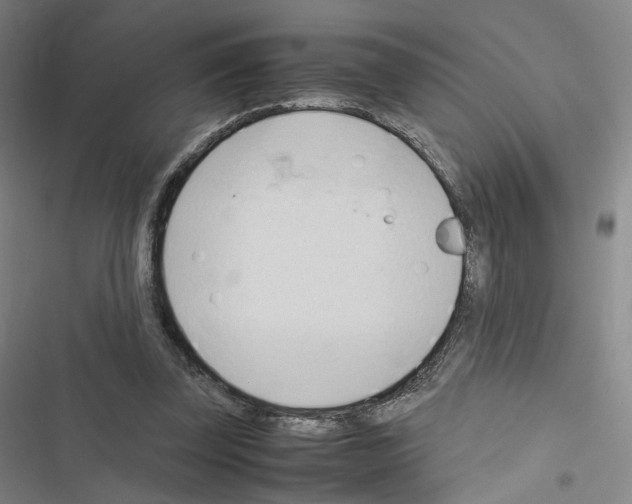 X0000116680347201001251305