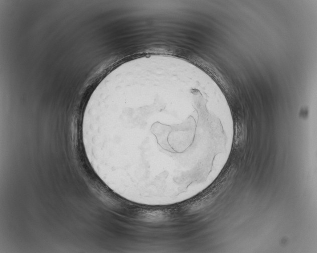 X0000116680349201001251305