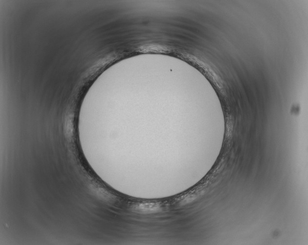 X0000116680353201001251305