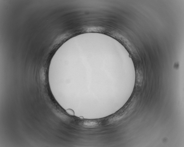 X0000116680357201001251305