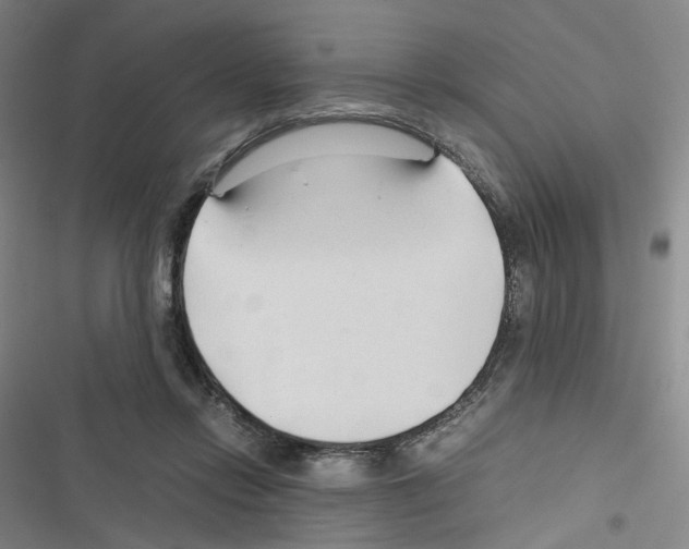 X0000116680358201001251305