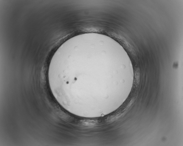 X0000116680359201001251305