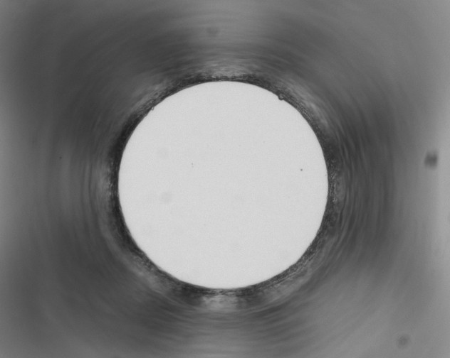 X0000116680362201001251305