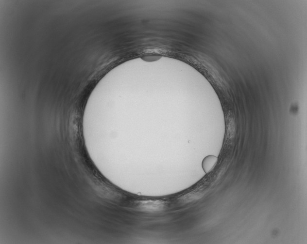 X0000116680363201001251305