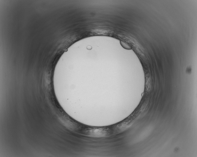 X0000116680365201001251305