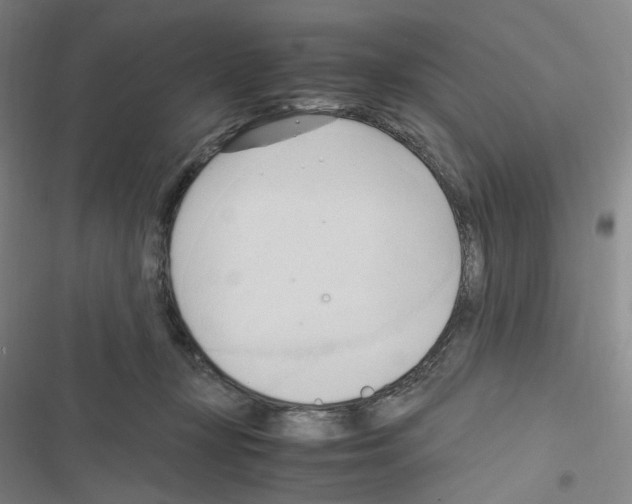 X0000116680367201001251305