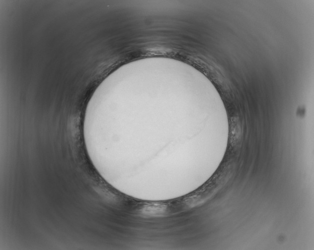 X0000116680369201001251305