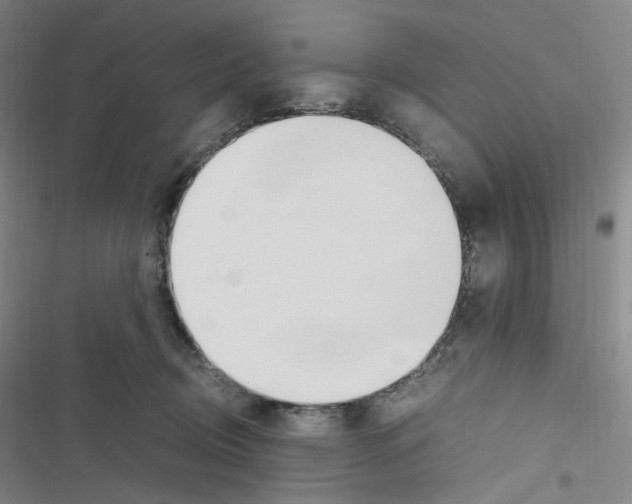 X0000116680370201001251305