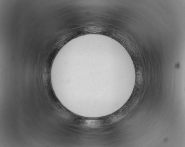 X0000116680371201001251305