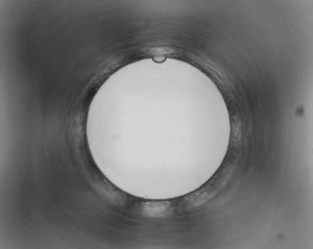 X0000116680373201001251305