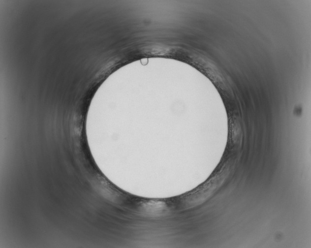 X0000116680374201001251305