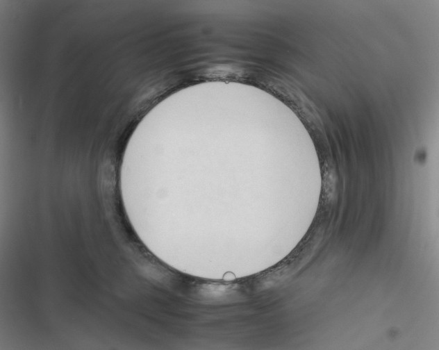 X0000116680375201001251305