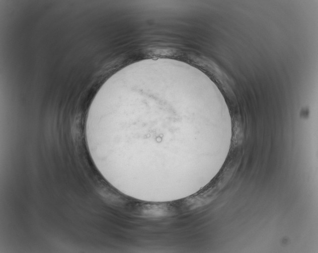 X0000116680377201001251305