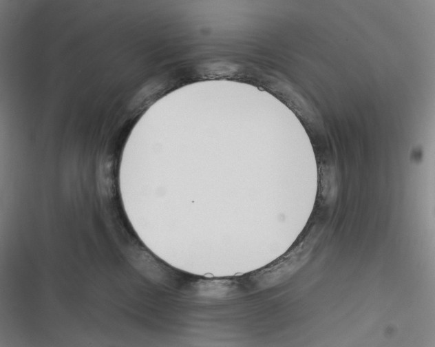 X0000116680378201001251305