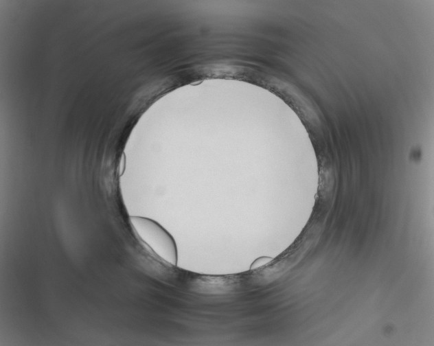 X0000116680381201001251305