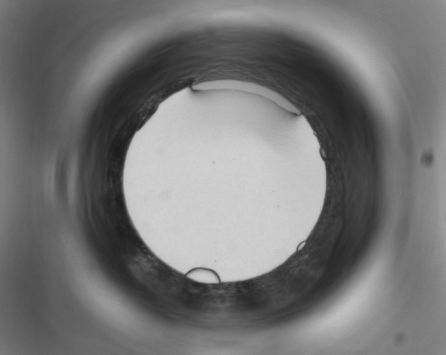 X0000116680382201001251305